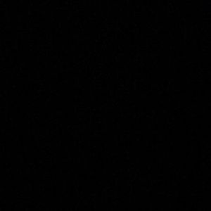 Meet your Posher, Leyla